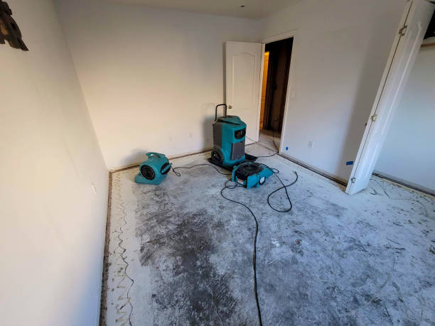 Best Water damage cleanup near me  in Dubuque, IA