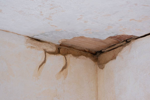  Dubuque, IA Water damage restoration Pros