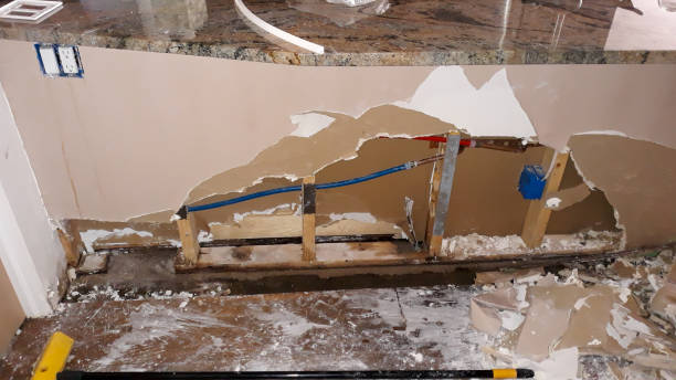 Best Flood damage cleanup  in Dubuque, IA