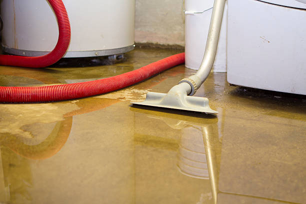 Best Flooded house restoration  in Dubuque, IA