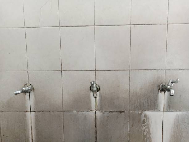 Best Fire Damage Restoration  in Dubuque, IA