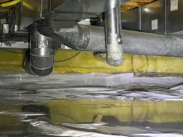 Best Ceiling water damage repair  in Dubuque, IA