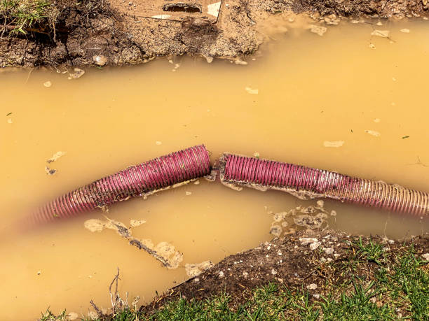 Best 24/7 water damage repair  in Dubuque, IA