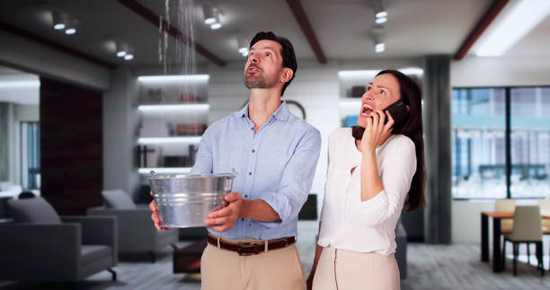 Best Water damage restoration near me  in Dubuque, IA