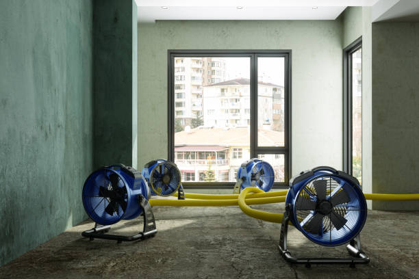 Best Sewage cleanup and water damage restoration  in Dubuque, IA